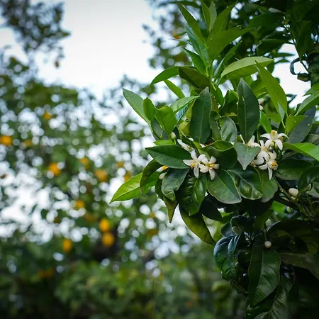 Blue Horizon View Semesterbostad