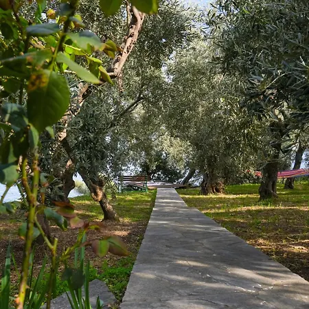 Blue Horizon View Holiday home Milopotamos (Thessaly)